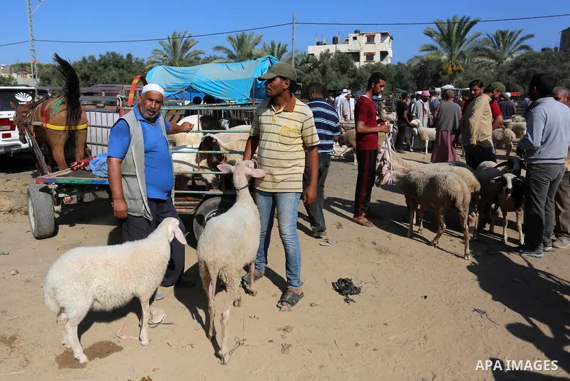 Palestinians gather at a live stock market, ahead of Eid al-Adha in Deir al-Balah, in the center of the Gaza Strip on July 8, 2020. As the low turnout on the buy sheep due to the deteriorating economic situation. Photo b...
