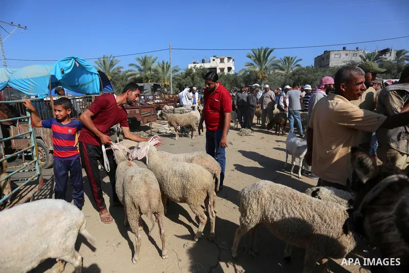 Palestinians gather at a live stock market, ahead of Eid al-Adha in Deir al-Balah, in the center of the Gaza Strip on July 8, 2020. As the low turnout on the buy sheep due to the deteriorating economic situation. Photo b...