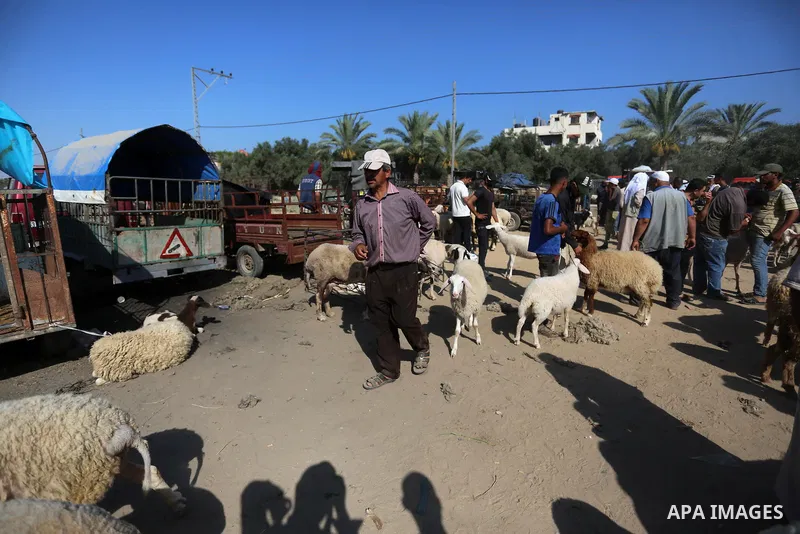 Palestinians gather at a live stock market, ahead of Eid al-Adha in Deir al-Balah, in the center of the Gaza Strip on July 8, 2020. As the low turnout on the buy sheep due to the deteriorating economic situation. Photo b...