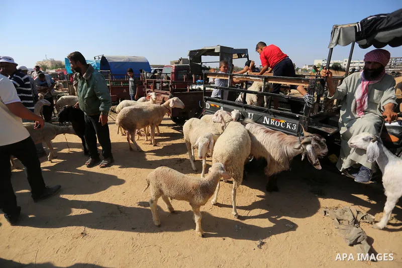 Palestinians gather at a live stock market, ahead of Eid al-Adha in Deir al-Balah, in the center of the Gaza Strip on July 8, 2020. As the low turnout on the buy sheep due to the deteriorating economic situation. Photo b...