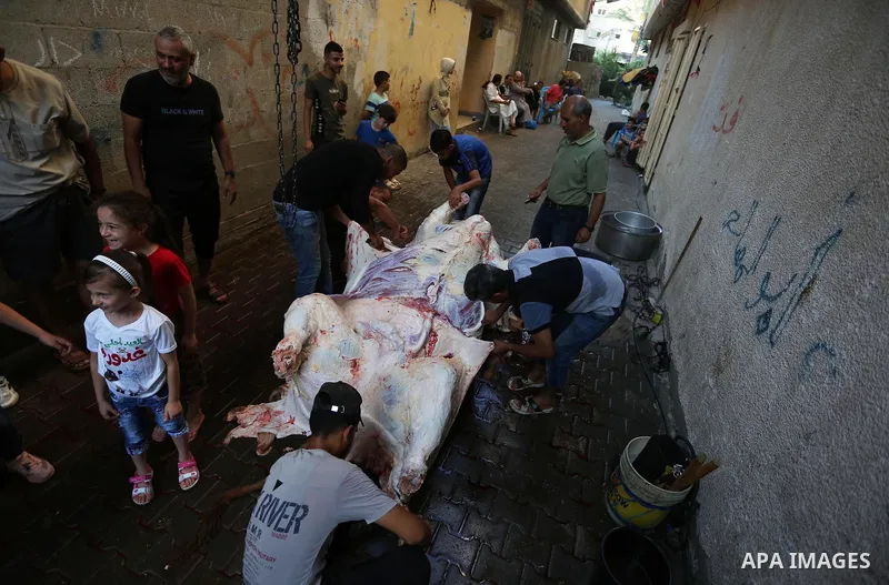 Palestinian Muslims sacrifice livestock as part of the commemoration for the first day of Eid al-Adha or feast of the sacrifice, in khan Younis in the southern of Gaza strip on July 31, 2020. Muslims are celebrating Eid...