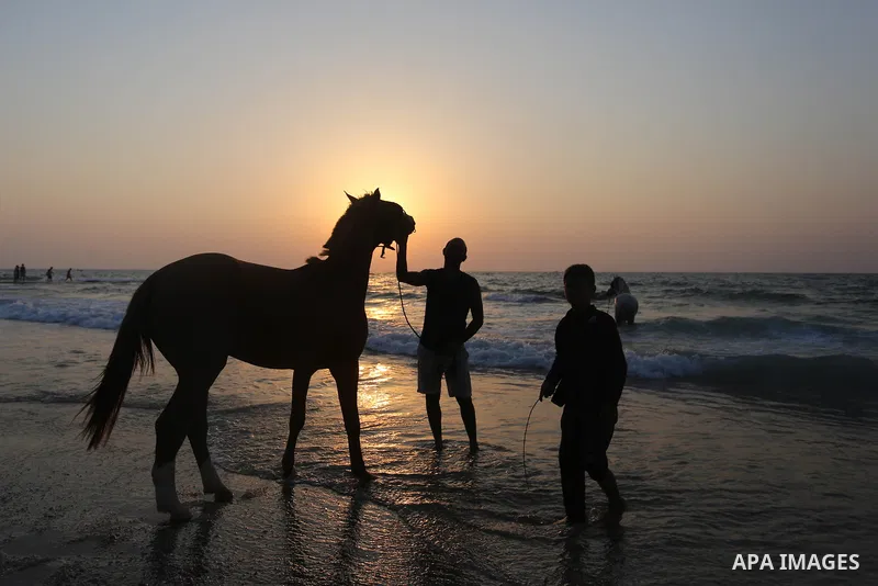 Palestinians enjoy at the beach, amid the coronavirus disease (COVID-19) outbreak, in Dair Al Balah in the central of Gaza Strip on September 11, 2020. Photo by Ashraf Amra