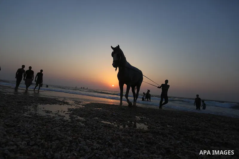 Palestinians enjoy at the beach, amid the coronavirus disease (COVID-19) outbreak, in Dair Al Balah in the central of Gaza Strip on September 11, 2020. Photo by Ashraf Amra