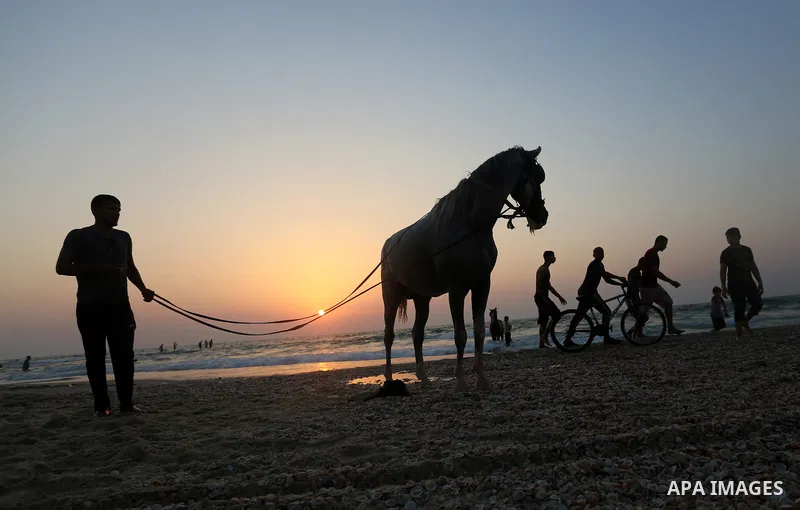 Palestinians enjoy at the beach, amid the coronavirus disease (COVID-19) outbreak, in Dair Al Balah in the central of Gaza Strip on September 11, 2020. Photo by Ashraf Amra