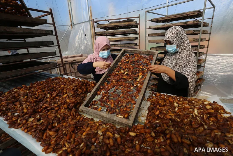 Palestinian women wearing a face mask make dates in a factory during harvest season amid the coronavirus disease (COVID-19) restrictions in Deir al-Balah in the central Gaza Strip on October 5, 2020. The harvesting seaso...