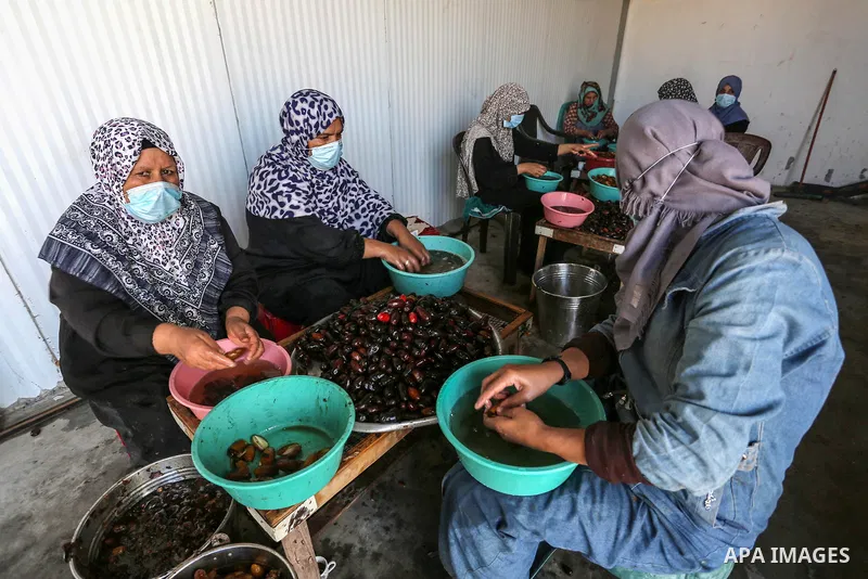 Palestinian women wearing a face mask make dates in a factory during harvest season amid the coronavirus disease (COVID-19) restrictions in Deir al-Balah in the central Gaza Strip on October 5, 2020. The harvesting seaso...