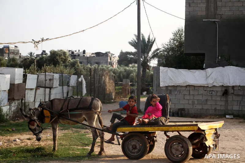Palestinian children sit on a donkey-cart, in Beit Lahiya in the northern Gaza Strip on October 29, 2020. Photo by mohammed salem