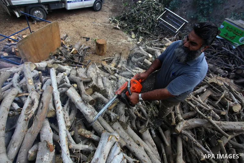 A Palestinian lumberjack cuts and prepares firewood for sale and production of charcoal at a workshop, Gaza City, on November 22, 2020. Photo by Mahmoud Ajjour