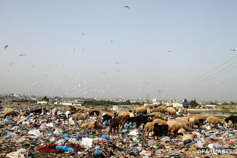 Palestinian children collect scrap from a garbage dump in the Bedouin village of "Umm Al-Nasr" in the northern Gaza Strip, on December 9, 2020. When the COVID-19 pandemic struck worldwide, humanitarian organizations in t...