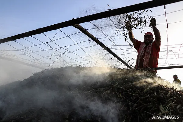 Syrian workers harvest wheat at a field in Azaz city, north of Aleppo, Syria, on May 12, 2020. Photo by Nayef AL-aboud