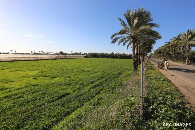 A deserted land is pictured during a complete closure amid the spread of the Coronavirus COVID-19, in Deir al-Balah, central of Gaza Strip, on January 16, 2021, in the Sixth week after the Ministry of Interior in Gaza Ci...