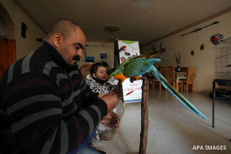Palestinian Rasheed Anbar, 35, keeps animals and birds and uses dead animals for embalming at his home in Gaza city on January 26, 2021. Anbar embalming dead animals and displays it in schools and kindergartens for educa...