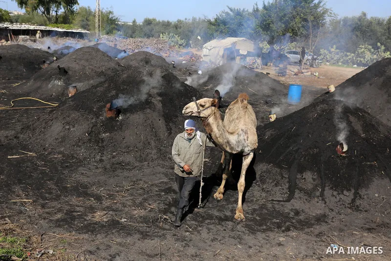 Palestinian charcoal worker Taha Al-Hattab, 60, works at his production facility near the border, east of Gaza City, on February 3, 2021. Al-Hattab charcoal-making facility is the largest producer in the Gaza Strip. Eigh...