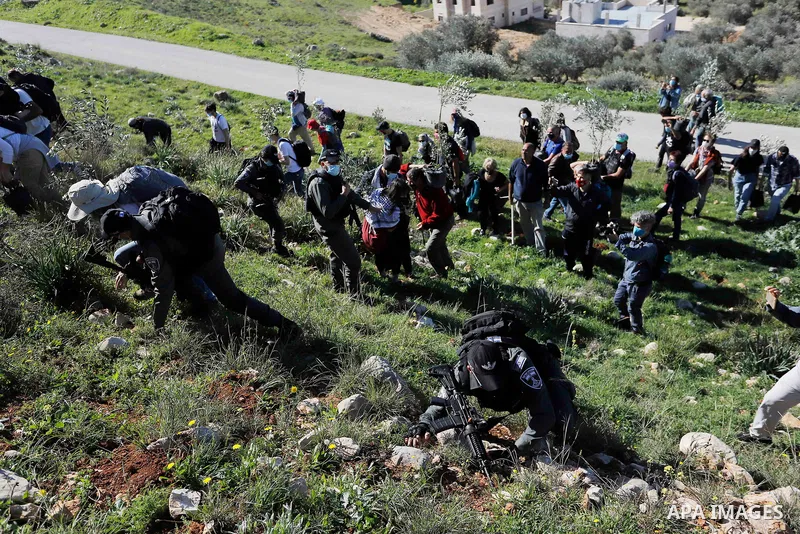 Israeli security forces assault foreign peace activists and Israelis while they planted olive trees in the lands of Burin village, south of Nablus in the West Bank on February 12, 2021. Israel has occupied the West Bank...
