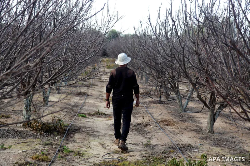 A general view show Agricultural land in Beit Hanoun in the northern Gaza Strip, on February 13, 2021. Photo by Mahmoud Ajjour