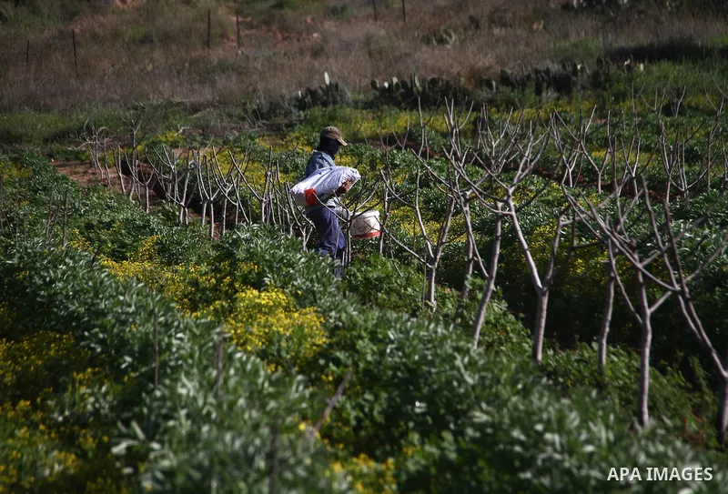 A general view show Agricultural land in Beit Hanoun in the northern Gaza Strip, on February 13, 2021. Photo by Mahmoud Ajjour