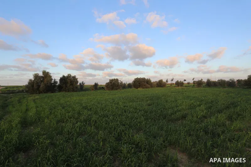 A general view show Agricultural land in Khan Younis in the southern of Gaza strip, on February 13, 2021. Palestine is going to be Sunny with a maximum temperature of 20°c and minimum temperature of 11°c. Expected precip...