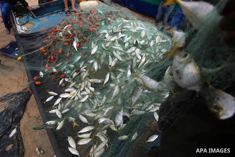 Palestinian fishermen collect caught fish from their nets on the beach in Deir al-Balah, in the central of Gaza Strip, on February 19, 2021. The bad weather and snow that hit Palestine yesterday led to the disruption of...