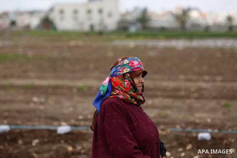 A Palestinian farmer plants seed crops on a field in the West Bank village of Deir Ballut, near Salfit town, on the International Women's Day, on March 8, 2021. International Women's Day (IWD) is celebrated on 8 March ar...