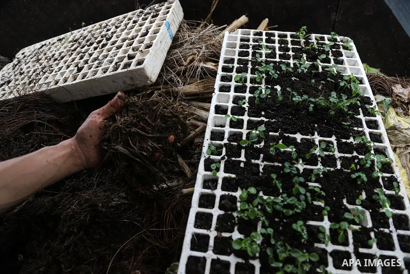 Palestinian farmer Mohsen Ahmed, 37, uses imported worms to produce organic fertilizers for plants, in Beit Lahia in the northern Gaza Strip on March 22, 2021. Organic fertilizers are beneficial for plants and vegetables...