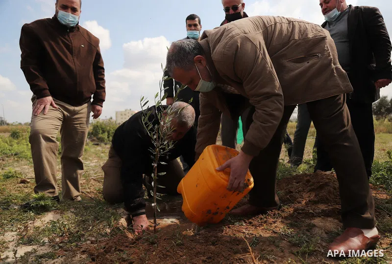 Palestinians plant an olive tree near the border with Israel, east of Gaza City on March 30, 2021. Palestinians every year mark Land Day on March 30 commemorating the six Palestinians shot and killed by Israeli police an...