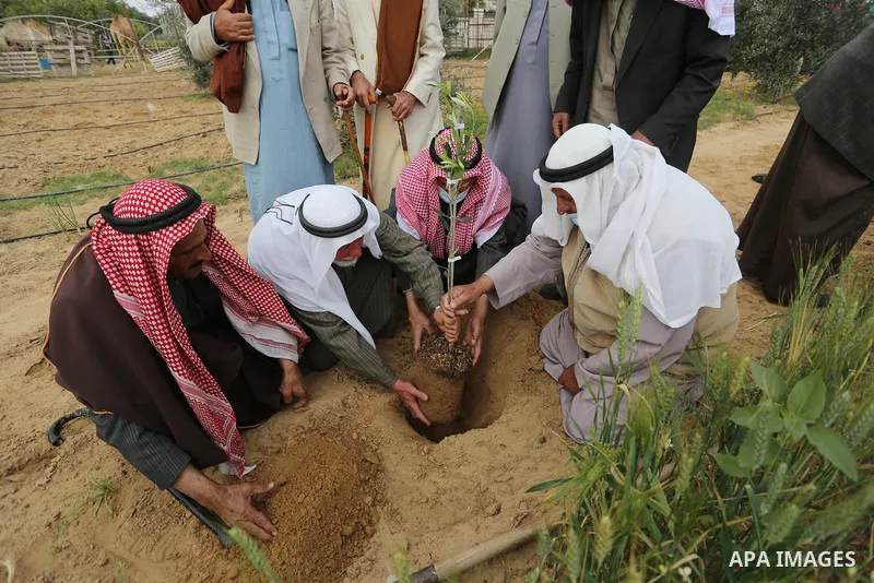 Palestinians plant an olive tree near the border with Israel, in Khan Younis in the southern of Gaza Strip, on March 30, 2021. Palestinians every year mark Land Day on March 30 commemorating the six Palestinians shot and...