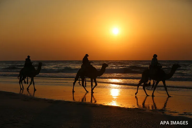 Palestinians ride a camel at a beach during sunset, amid the outbreak of the coronavirus disease (COVID-19), in Gaza City on March 31, 2021. Gaza’s health ministry said on Wednesday that more than a thousand cases of cor...