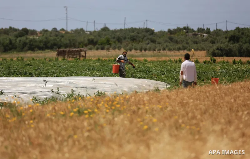 Palestinian farmers work on their lands, while the Israeli bulldozers work at the Israel-Gaza border, east of Gaza City on April 21, 2021. The Israeli army today infiltrated Gaza’s border, east of Gaza city, and leveled...