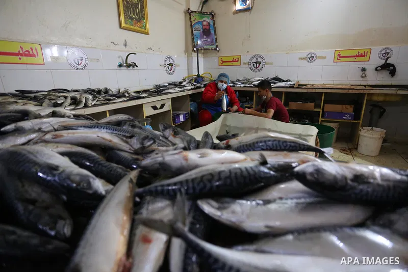 Palestinian men wearing masks, prepare Smoked Herring or, salted fish to be sold in markets days before of Eid al Fitr holiday in Nuseirat in the center of Gaza Strip on May 5, 2021. People flock markets and shopping mal...