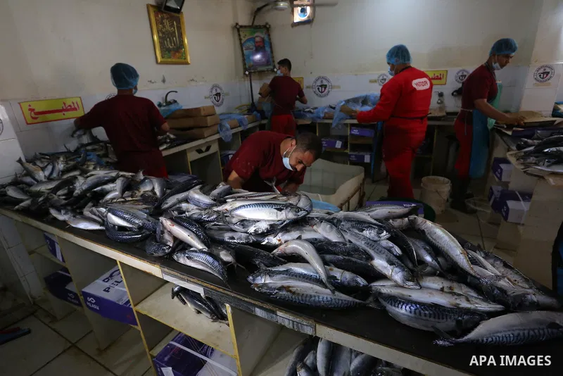 Palestinian men wearing masks, prepare Smoked Herring or, salted fish to be sold in markets days before of Eid al Fitr holiday in Nuseirat in the center of Gaza Strip on May 5, 2021. People flock markets and shopping mal...