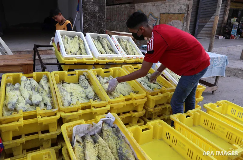 Palestinian men wearing masks, prepare salted fish to be sold in markets ahead Eid al Fitr holiday in Gaza City, on May 8, 2021. Salted fish, such as kippered herring or dried and salted cod, is fish cured with dry salt...