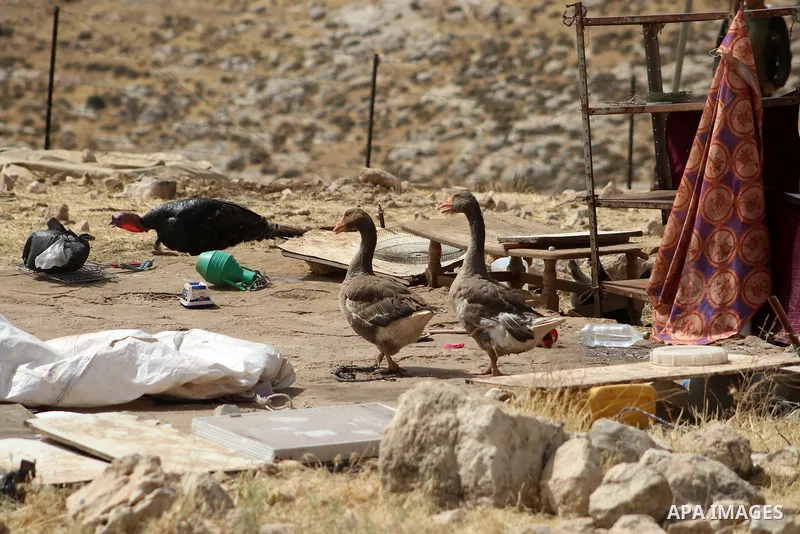 Evicted Palestinian residents pack their belongings during an Israeli demolition of Palestinian homes located within the "Area C" of the occupied West Bank, where Israel retains full control over planning and constructio...