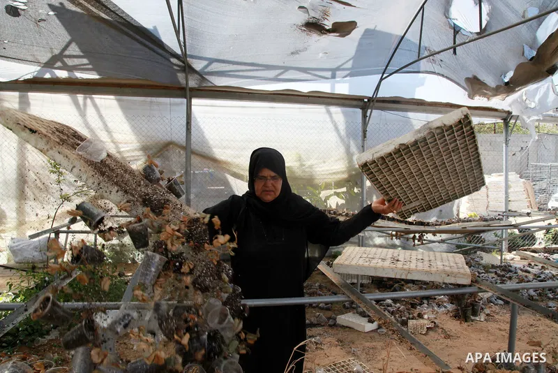 A Palestinian woman inspects damage at her hydroponics greenhouse, which was destroyed by Israeli air strikes during the May 2021 conflict between Hamas and Israel, in Beit Lahia in the northern Gaza Strip, on June 20, 2...