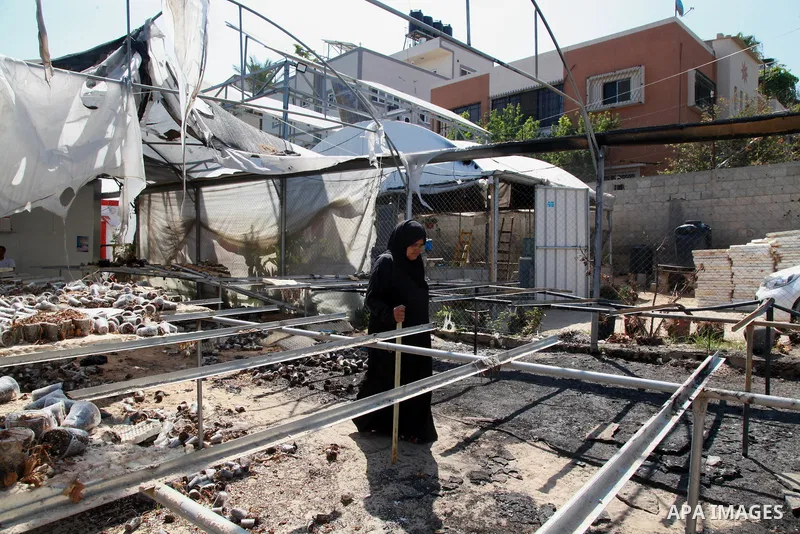 A Palestinian woman inspects damage at her hydroponics greenhouse, which was destroyed by Israeli air strikes during the May 2021 conflict between Hamas and Israel, in Beit Lahia in the northern Gaza Strip, on June 20, 2...