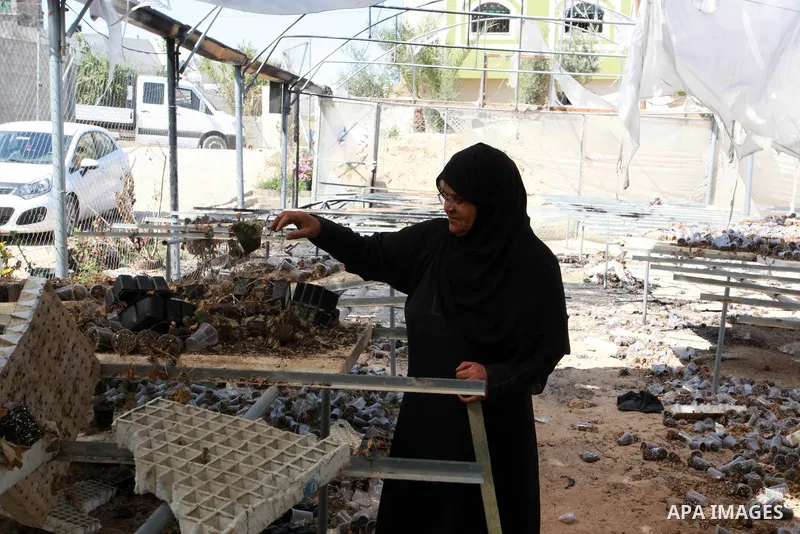 A Palestinian woman inspects damage at her hydroponics greenhouse, which was destroyed by Israeli air strikes during the May 2021 conflict between Hamas and Israel, in Beit Lahia in the northern Gaza Strip, on June 20, 2...