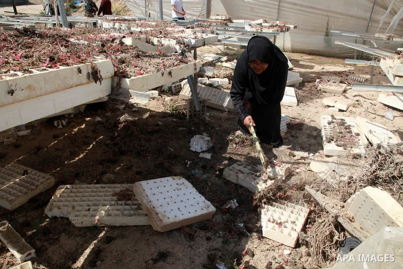 A Palestinian woman inspects damage at her hydroponics greenhouse, which was destroyed by Israeli air strikes during the May 2021 conflict between Hamas and Israel, in Beit Lahia in the northern Gaza Strip, on June 20, 2...