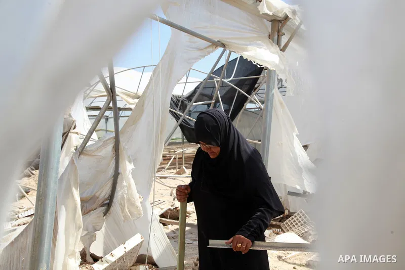 A Palestinian woman inspects damage at her hydroponics greenhouse, which was destroyed by Israeli air strikes during the May 2021 conflict between Hamas and Israel, in Beit Lahia in the northern Gaza Strip, on June 20, 2...
