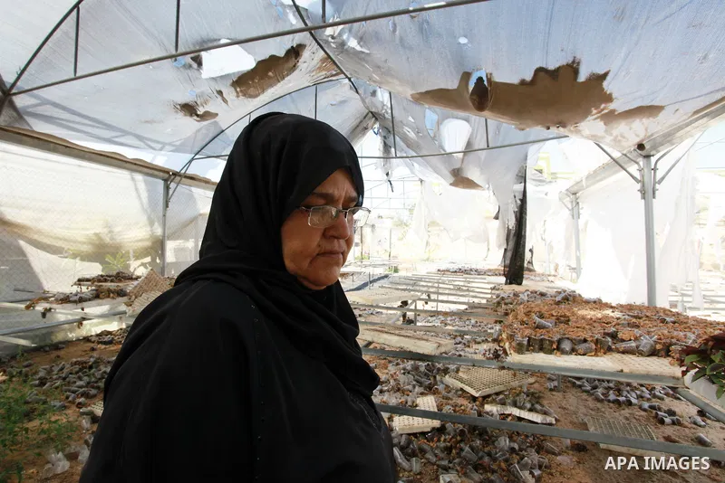 A Palestinian woman inspects damage at her hydroponics greenhouse, which was destroyed by Israeli air strikes during the May 2021 conflict between Hamas and Israel, in Beit Lahia in the northern Gaza Strip, on June 20, 2...