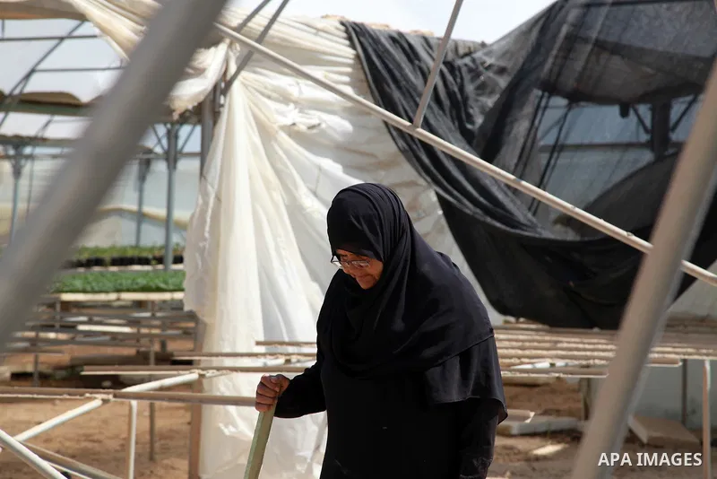 A Palestinian woman inspects damage at her hydroponics greenhouse, which was destroyed by Israeli air strikes during the May 2021 conflict between Hamas and Israel, in Beit Lahia in the northern Gaza Strip, on June 20, 2...