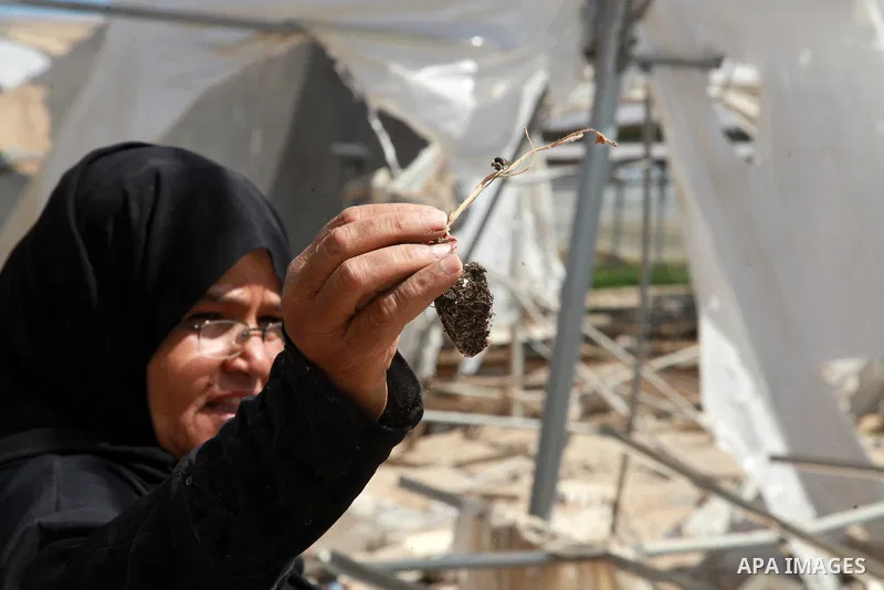 A Palestinian woman inspects damage at her hydroponics greenhouse, which was destroyed by Israeli air strikes during the May 2021 conflict between Hamas and Israel, in Beit Lahia in the northern Gaza Strip, on June 20, 2...