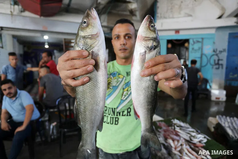Palestinian fishermen display fishes at fish market after Israel expand the fishing zone in the Gaza Strip to 15 nautical miles, in Gaza city on September 2, 2021. Israel said it would expand Gaza's fishing zone, increas...