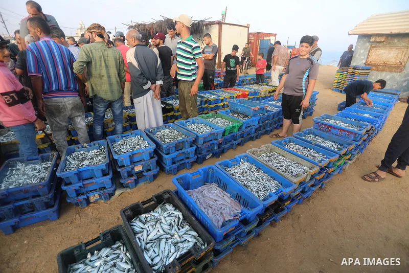 Palestinian fishermen display fishes at fish market on the shore of the Mediterranean Sea, in Deir El-Balah, in the center of Gaza strip, on September 21, 2021. Fishing is a major source of revenue for the impoverished P...