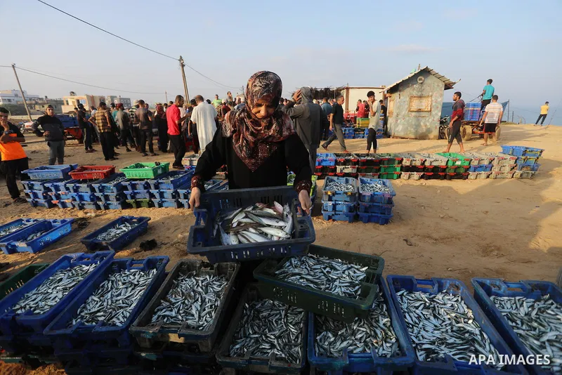 Palestinian fishermen display fishes at fish market on the shore of the Mediterranean Sea, in Deir El-Balah, in the center of Gaza strip, on September 21, 2021. Fishing is a major source of revenue for the impoverished P...