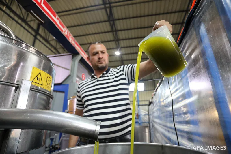 Palestinian workers prepare olives before crushe it to change-over into oil in an olive oil processing workshop, in Khan Younis in the southern of Gaza strip, on September 28, 2021. The 2021 olive harvest season, was an...