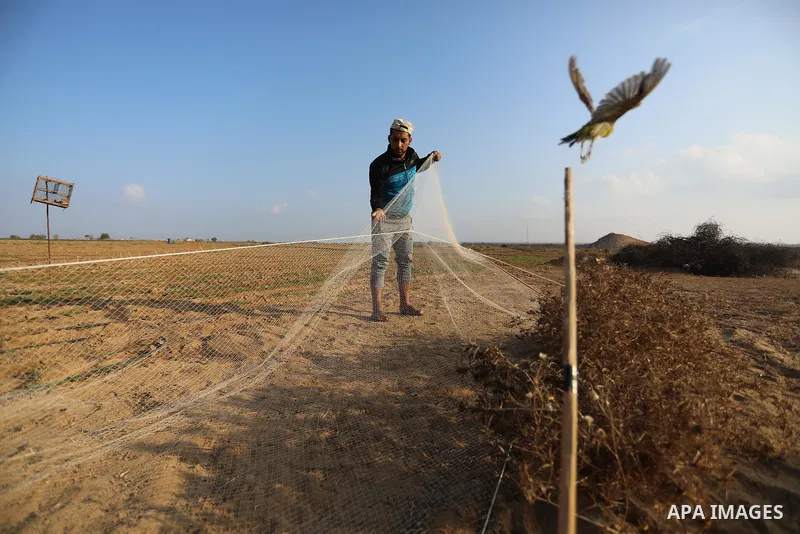 Palestinian men hunt migratory birds at the Israel-Gaza border, in Khan Younis in the southern Gaza Strip on October 02, 2021. Mohammad Abdul-Karim Ammar was shot dead while he was hunting birds by the Israeli forces sta...