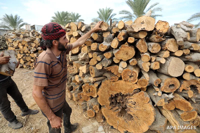 Palestinian lumberjacks cut and prepares firewood for sale and production of charcoal at a workshop, in Khan younis in the southern of Gaza strip, in October 17, 2021. The winter and holiday periods when coal is in high...