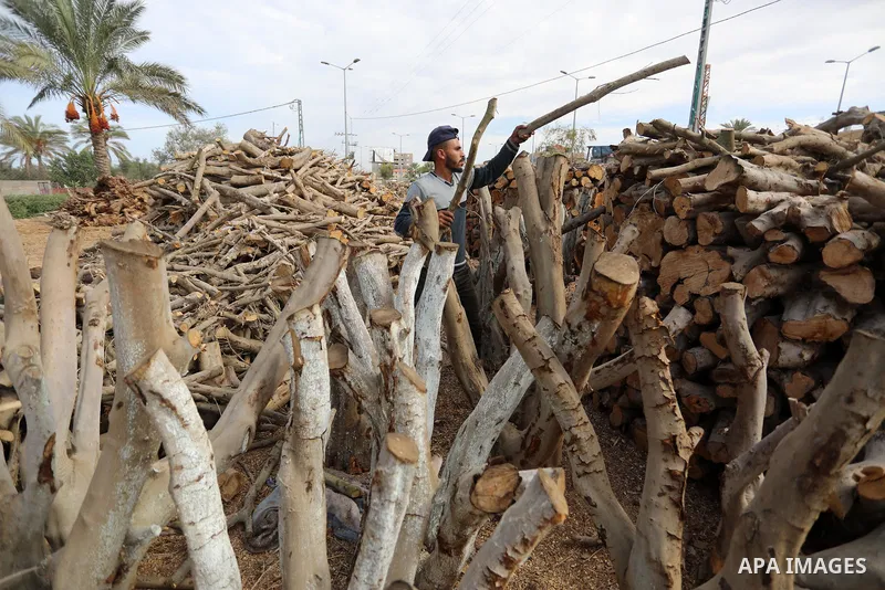 Palestinian lumberjacks cut and prepares firewood for sale and production of charcoal at a workshop, in Khan younis in the southern of Gaza strip, in October 17, 2021. The winter and holiday periods when coal is in high...