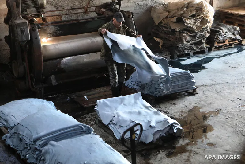 Palestinian workers paint leather and putting pieces out to dry as part of the finish process of leather tanning in a small factory to sell it to manufacture of shoes, in the West Bank city of Hebron on October 27, 2021....