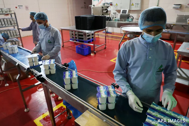 Palestinian employees work at Hanover factory for dairy, in Gaza city, on October 28, 2021. Photo by Majdy Fathi