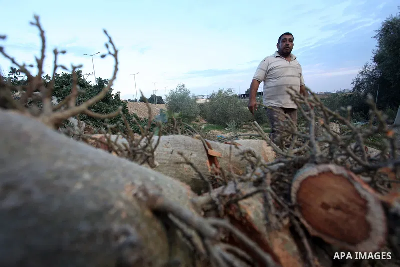 Palestinian men collect the wood to be used for heating in the winter, in Gaza city on November 22, 2021. People in the Gaza Strip are buying firewood for cooking and heating, especially during the power outage in winter...